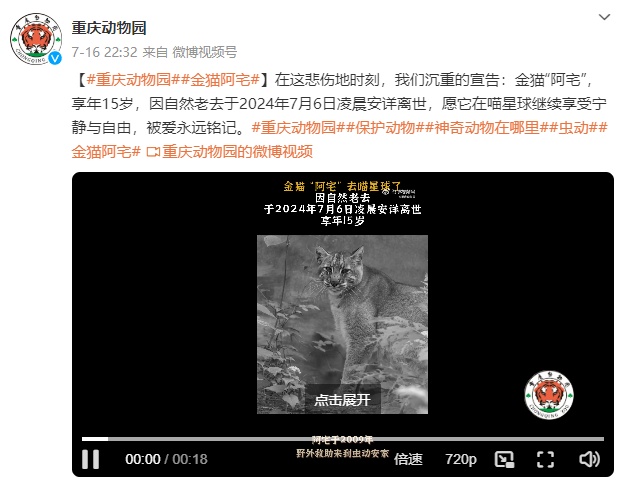 “阿宅”走了!比大熊猫还珍贵? “阿宅”走了!比大熊猫还珍贵?