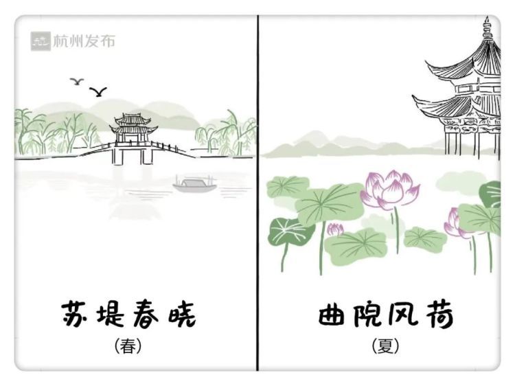 西湖边的“免费导游”，是宝藏啊！遇上他的都是幸运儿！网友：真学霸！