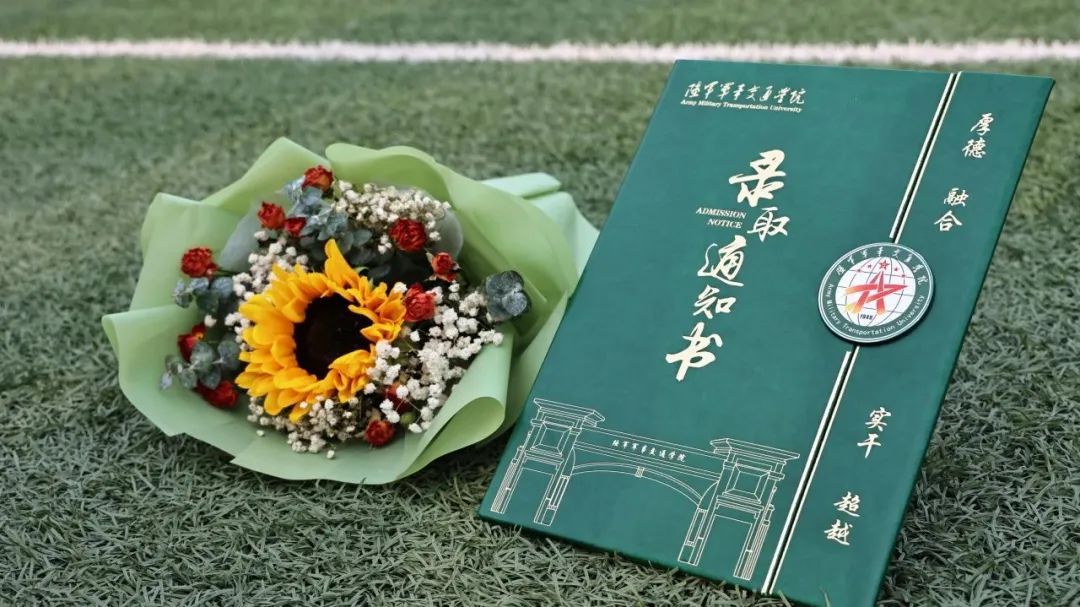 硬核录取通知书大揭秘！现在、立刻、马上送到我面前……