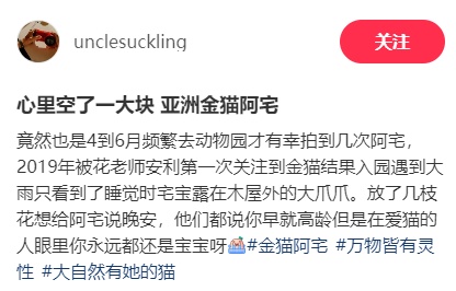 “阿宅”走了!比大熊猫还珍贵? “阿宅”走了!比大熊猫还珍贵?