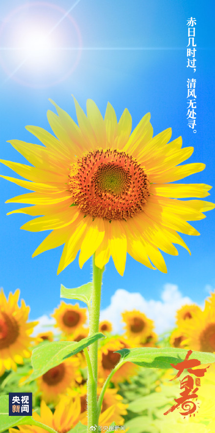 7月22日15时44分迎来大暑