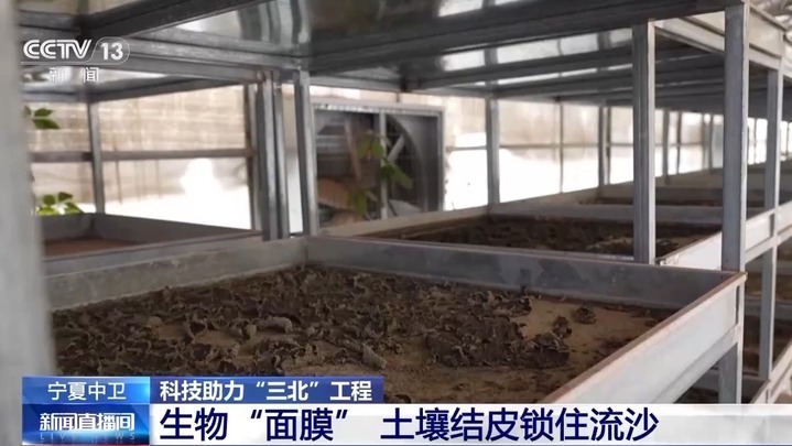 穿上“格子衫”、用上生物“面膜”……防风固沙有了新科技