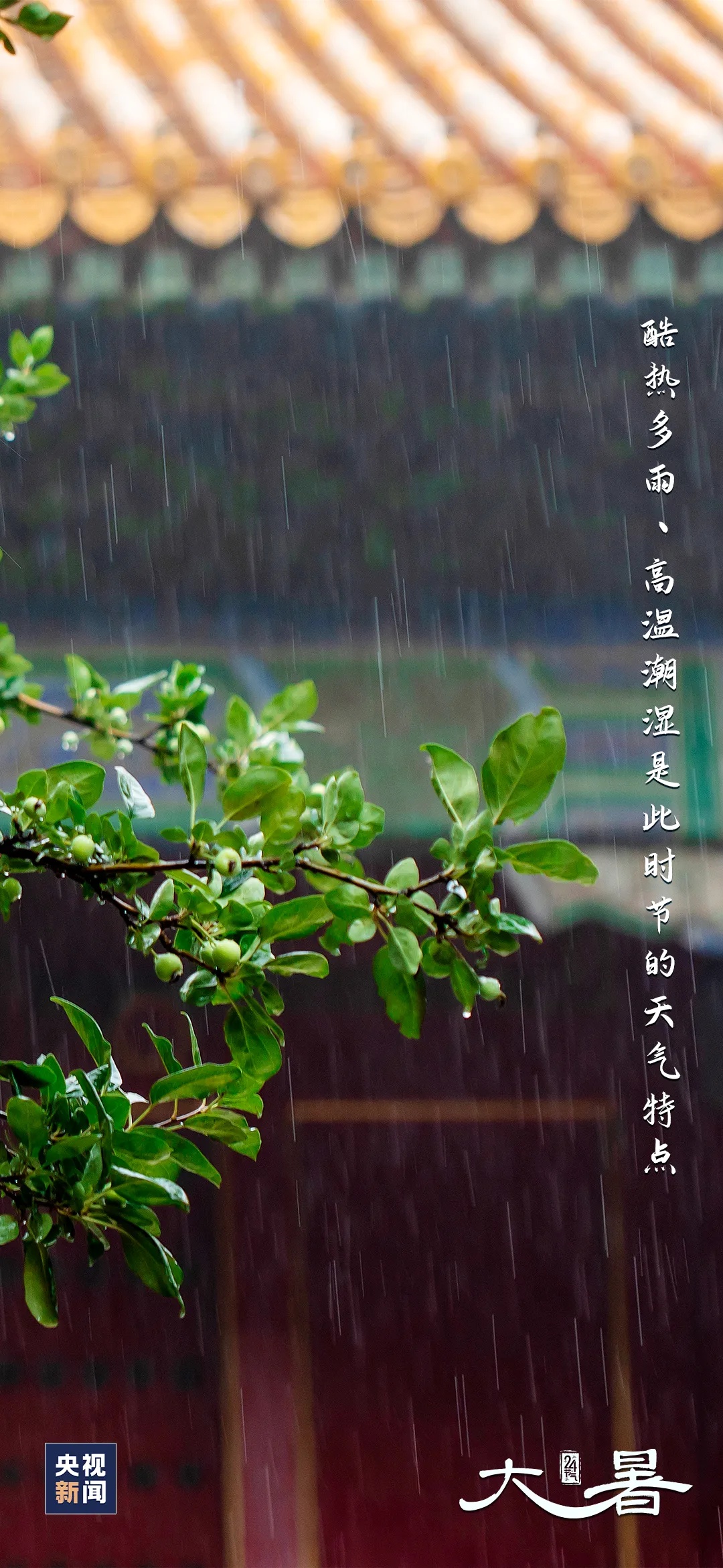 夏天最后一个节气,来了! 夏天最后一个节气,来了!