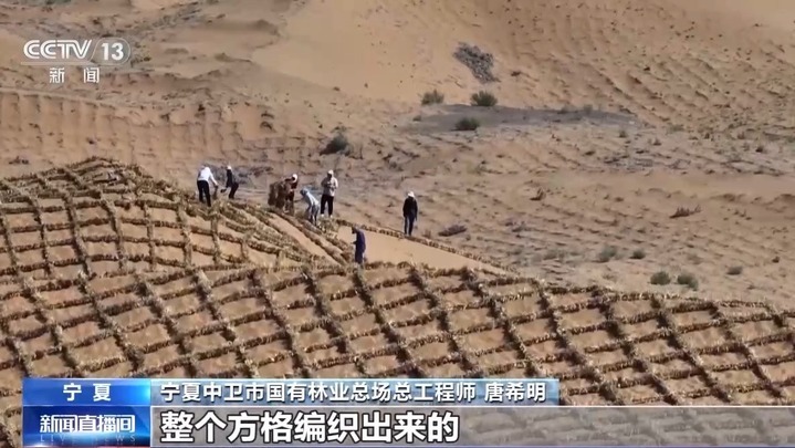 穿上“格子衫”、用上生物“面膜”……防风固沙有了新科技