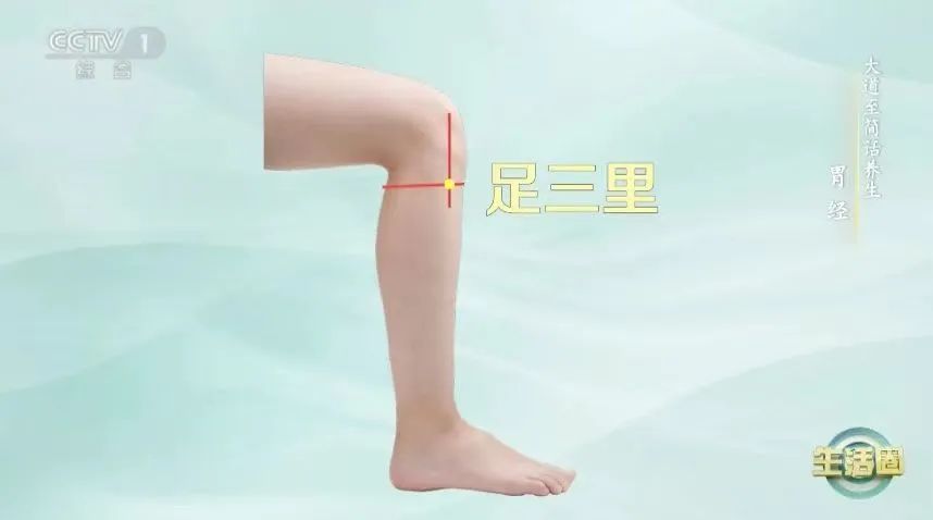 夏季无病三分虚？简单踮踮脚，八百多年前的动作帮你养正气，身体都不那么虚了