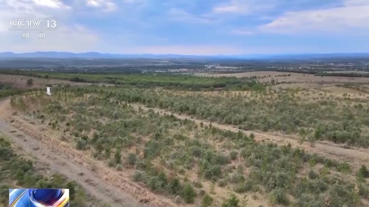 穿上“格子衫”、用上生物“面膜”……防风固沙有了新科技