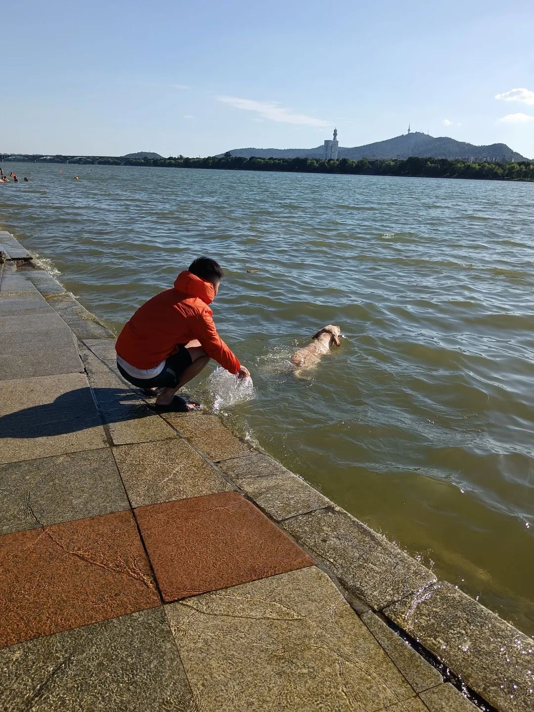 太火了！长沙人扎堆打卡“小海滩”，但要注意......