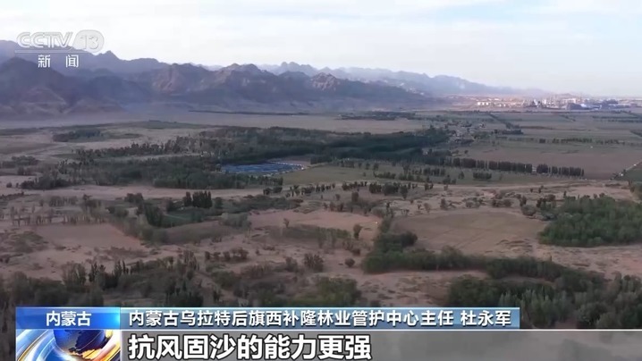 穿上“格子衫”、用上生物“面膜”……防风固沙有了新科技