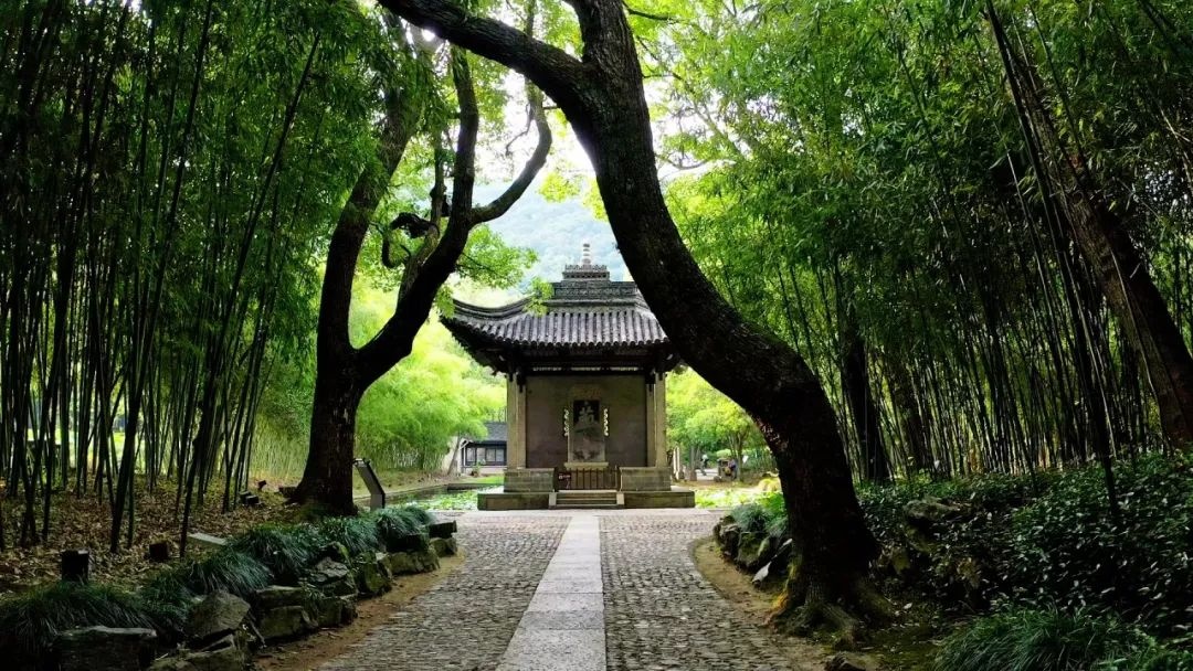 文化基因激活 | 读东坡,游诗画浙江 文化基因激活 | 读东坡,游诗画浙江