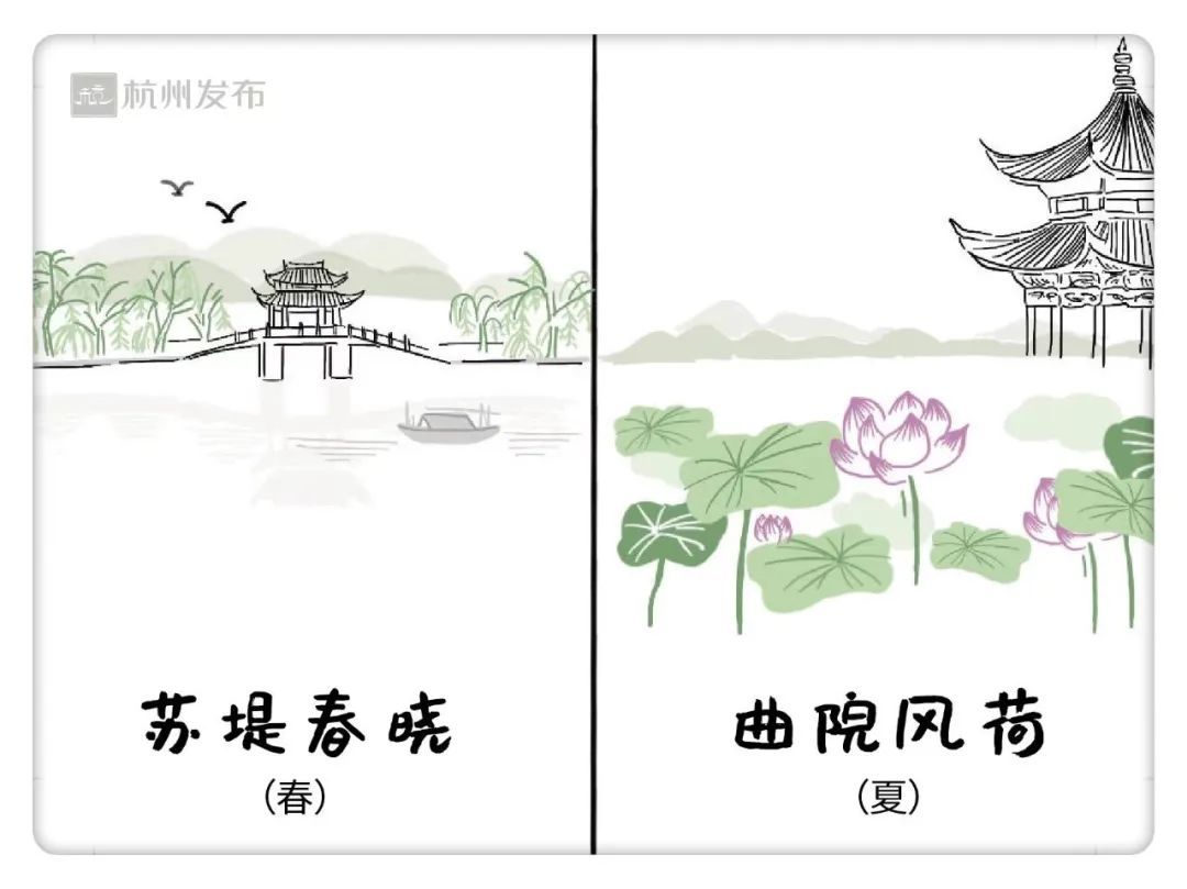 西湖边又一位大爷火了！有人为了他退票、改签！“这事，全看缘分”