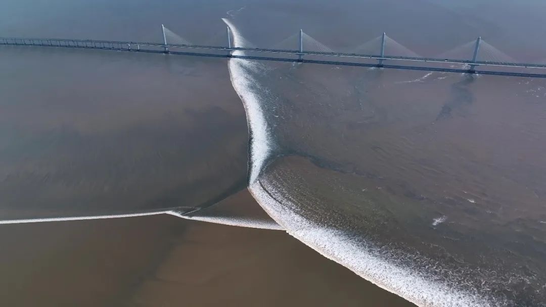 文化基因激活 | 读东坡,游诗画浙江 文化基因激活 | 读东坡,游诗画浙江