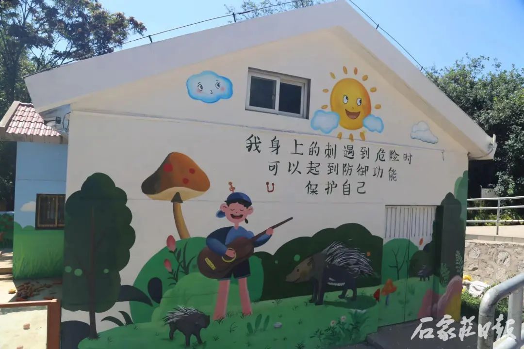 石家庄市动物园豪猪、细尾獴、北浣熊展区焕新亮相