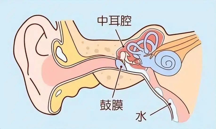 回来就发烧!杭州一家俩娃同时确诊!当季高发,家长:起初没往那方面想… 回来就发烧!杭州一家俩娃同时确诊!当季高发,家长:起初没往那方面想…