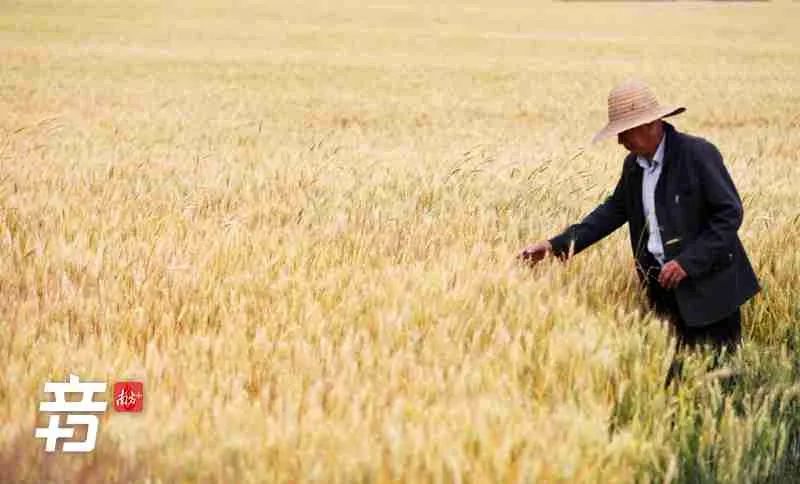 当父母总爱“没苦硬吃”,晚辈该如何应对? 当父母总爱“没苦硬吃”,晚辈该如何应对?