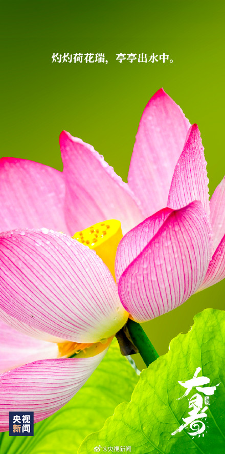 7月22日15时44分迎来大暑