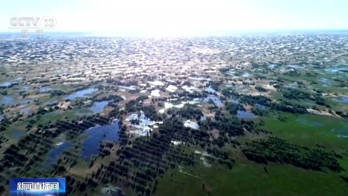 穿上“格子衫”、用上生物“面膜”……防风固沙有了新科技