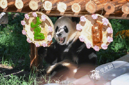 快来查收渝可渝爱生日趴高清照