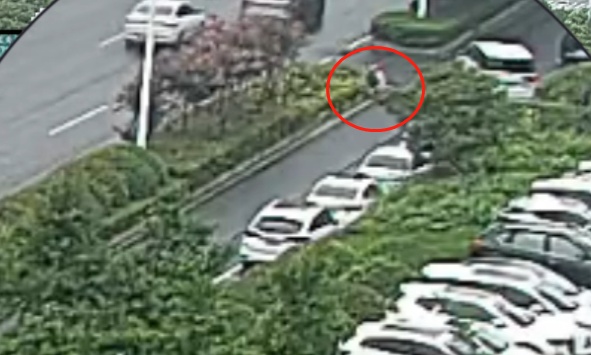 女子骑电动车出事故,被判担责!她为啥还给交警送锦旗? 女子骑电动车出事故,被判担责!她为啥还给交警送锦旗?