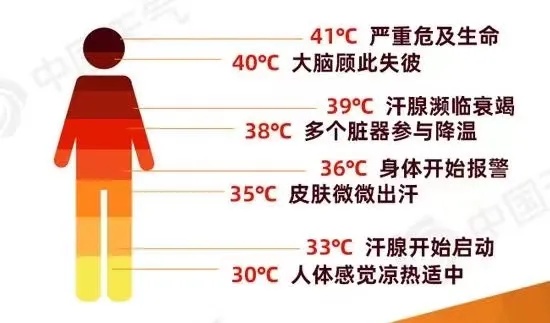 局地最高达40℃!小心这种高发病,致死率80%! 局地最高达40℃!小心这种高发病,致死率80%!