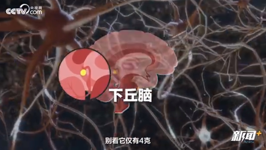 夏天脾气暴躁可能是得了“热怒症”