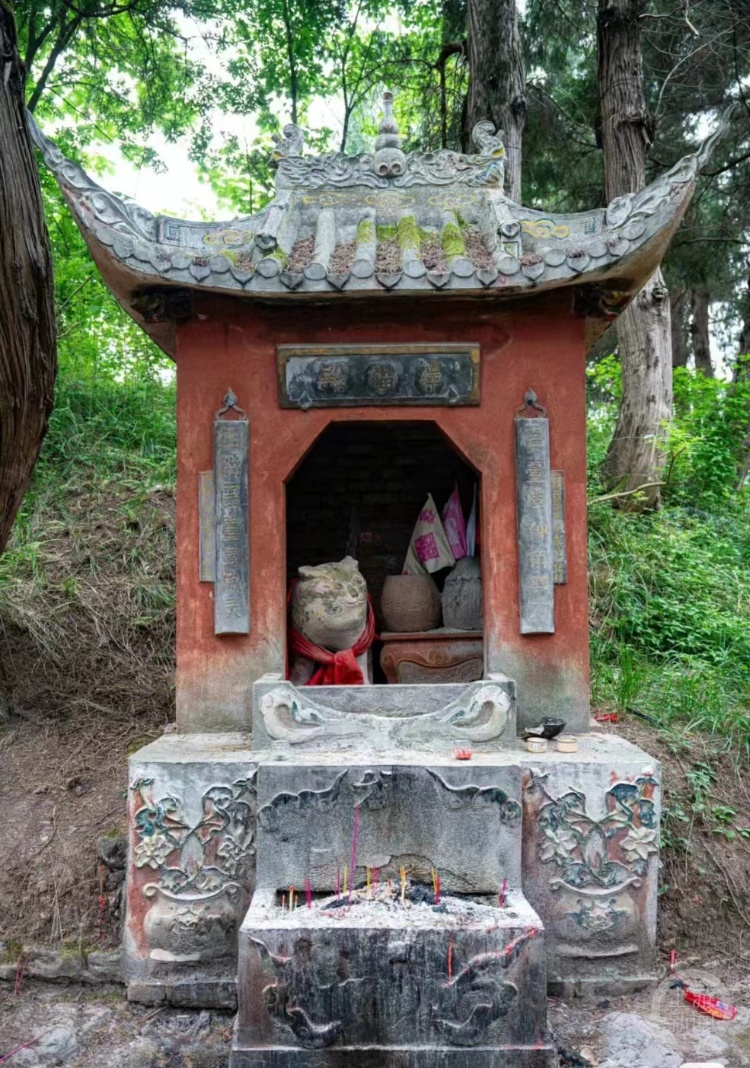 30只猫坐阵！都江堰一景区有座网红“猫猫庙”
