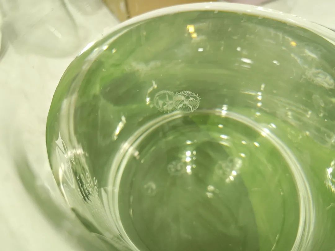 惊喜，武汉水里发现易危物种