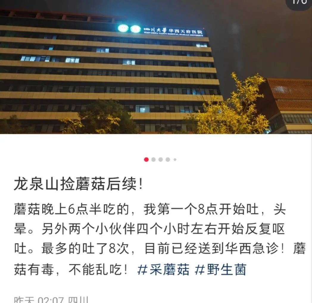 成都网友在龙泉山捡野菌吃进急诊，农业专家：采摘图鉴不靠谱