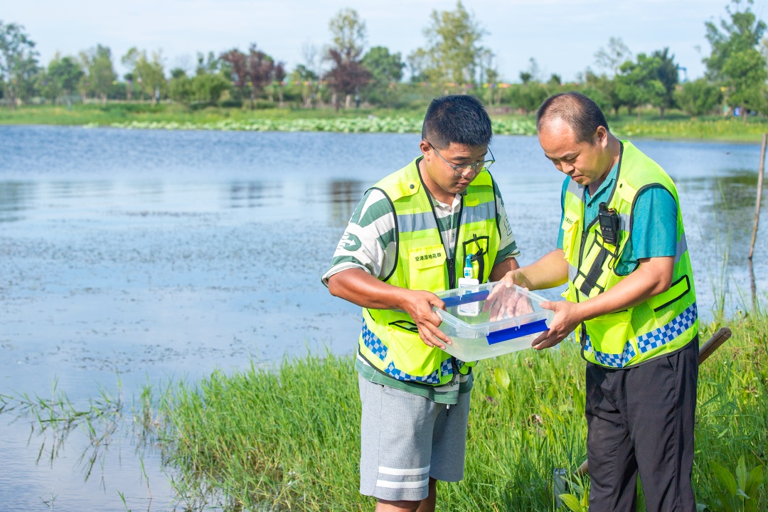 惊喜，武汉水里发现易危物种