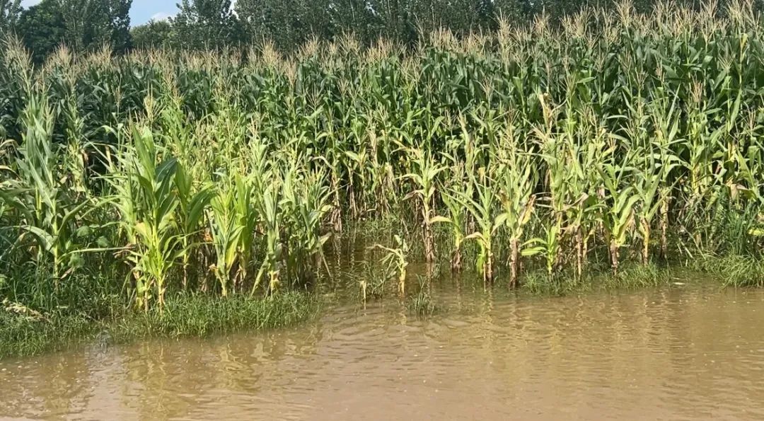 于平静处问波澜 | 记者实地探访河南“24·7”特大暴雨 于平静处问波澜 | 记者实地探访河南“24·7”特大暴雨