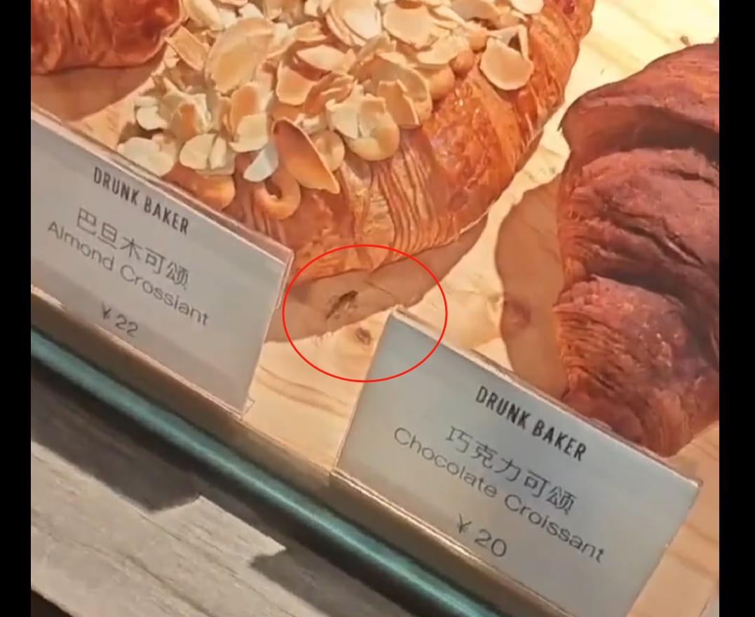 上海网红面包店“翻车”？蟑螂爬进爬出，不是第一次？