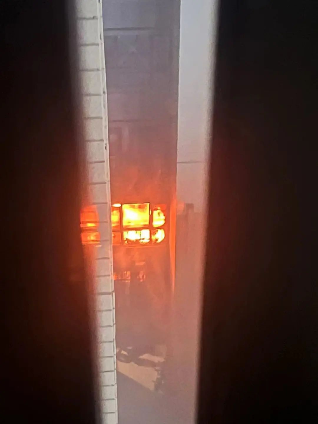 5岁幼童书房中另类“看书”，将书房变身“火海”