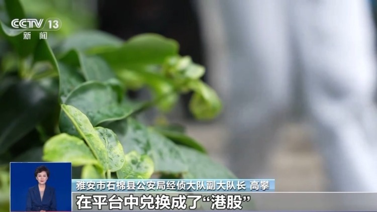 线上“认养黑猪”就能赚钱？小心，这是新型网络传销