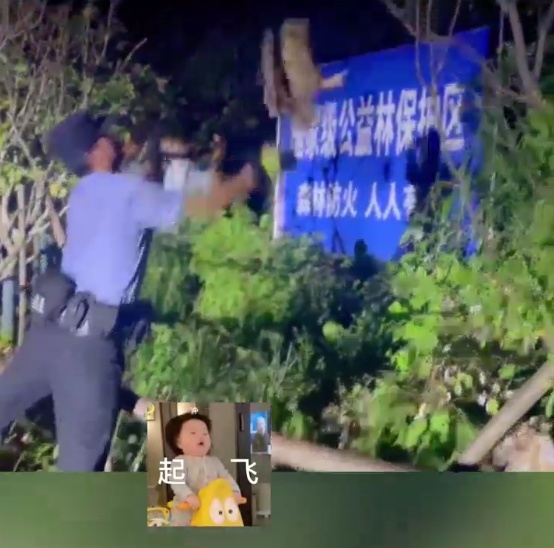 “赖”着不走了！猫头鹰：一顿饱和顿顿饱，我分得清