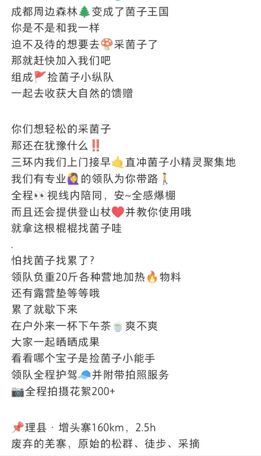 成都网友在龙泉山捡野菌吃进急诊，农业专家：采摘图鉴不靠谱