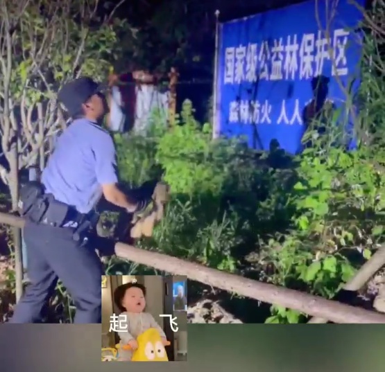 “赖”着不走了！猫头鹰：一顿饱和顿顿饱，我分得清