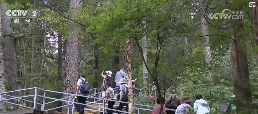 避暑游持续升温 “清凉经济”激发夏日文旅消费新动能 避暑游持续升温 “清凉经济”激发夏日文旅消费新动能