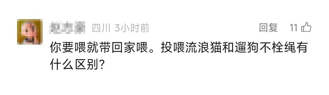 男子被流浪猫绊倒，投喂者被判赔4.8万元！网友吵翻