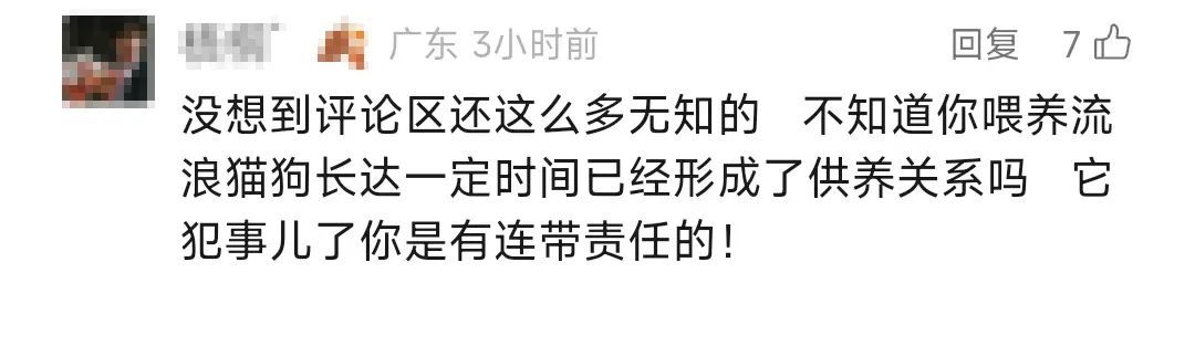 男子被流浪猫绊倒，投喂者被判赔4.8万元！网友吵翻