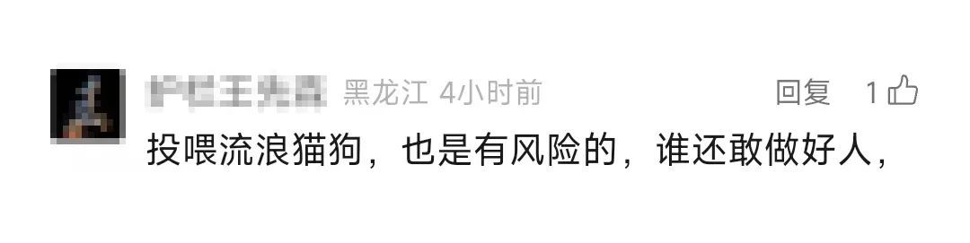 男子被流浪猫绊倒，投喂者被判赔4.8万元！网友吵翻