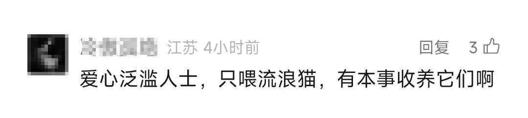 男子被流浪猫绊倒，投喂者被判赔4.8万元！网友吵翻