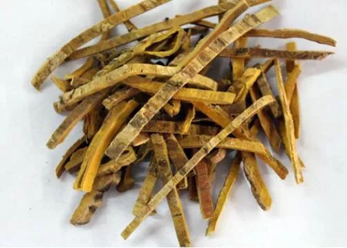 怎么剥个树皮就被抓了？