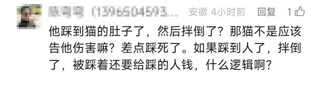 男子被流浪猫绊倒，投喂者被判赔4.8万元！网友吵翻