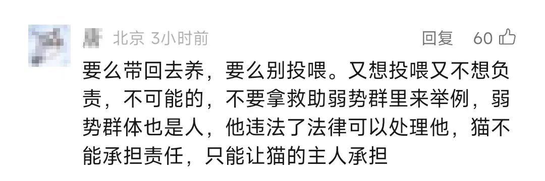 男子被流浪猫绊倒，投喂者被判赔4.8万元！网友吵翻