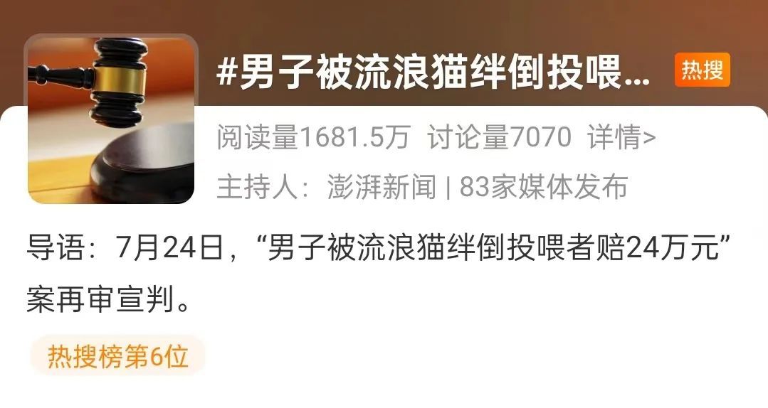 男子被流浪猫绊倒，投喂者被判赔4.8万元！网友吵翻