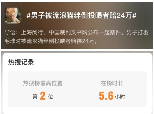 沪一男子被流浪猫绊倒，投喂者赔24万？网友热议！有反转→