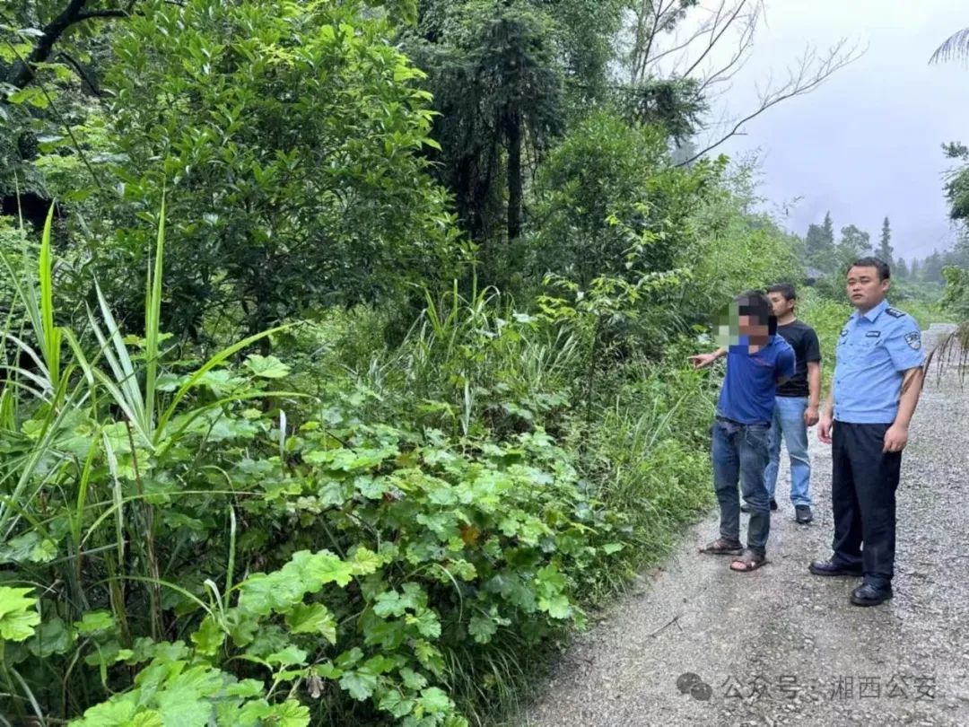 怎么剥个树皮就被抓了？