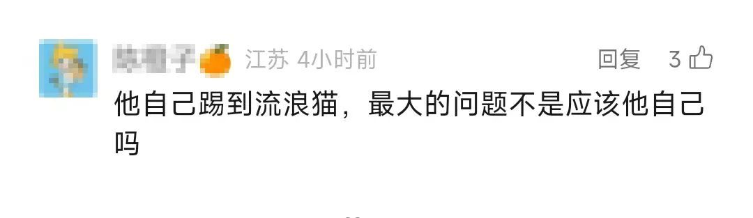 男子被流浪猫绊倒，投喂者被判赔4.8万元！网友吵翻
