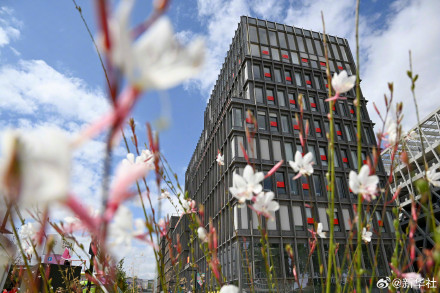 一起走进巴黎奥运村