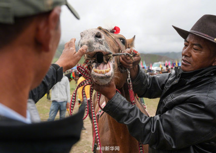 西藏望果节赛马庆丰收 西藏望果节赛马庆丰收