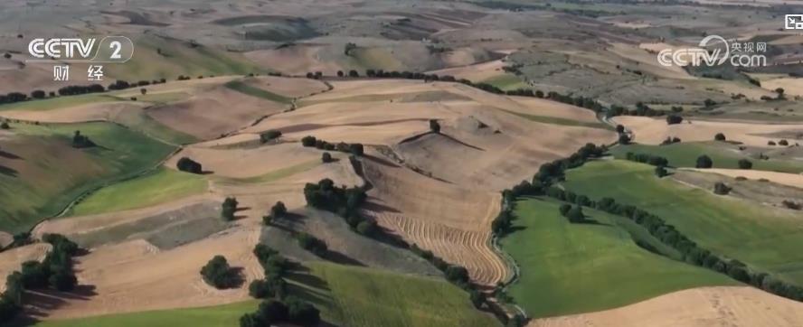 避暑游持续升温 “清凉经济”激发夏日文旅消费新动能 避暑游持续升温 “清凉经济”激发夏日文旅消费新动能